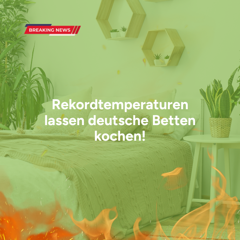 Krause & Meier Klima